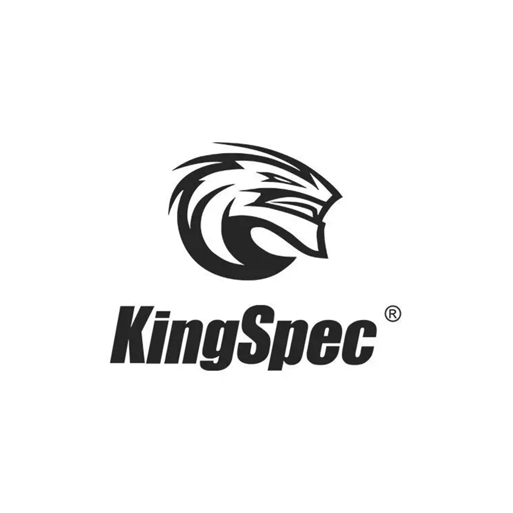 KingSpec